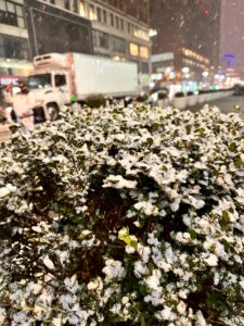 NY now5